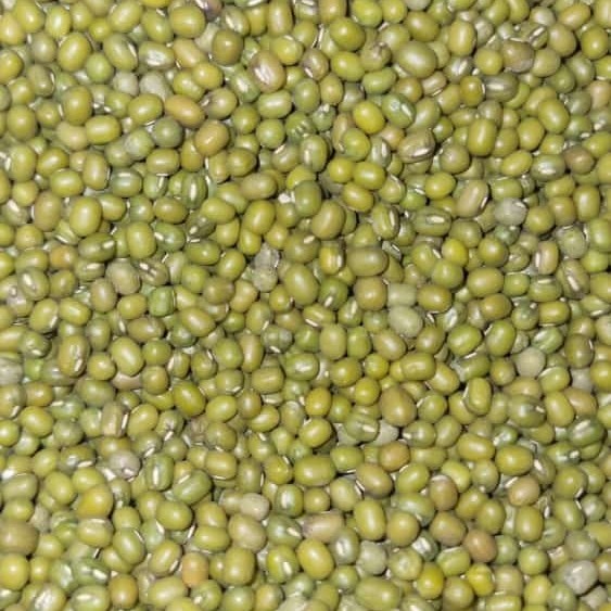 

Kacang Hijau Ijo 25 KG Super Premium Murah Green Beans - Bambu Wangi