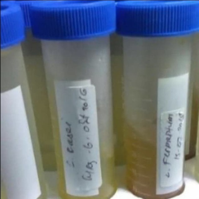 Kultur Bacillus amyloliquefaciens : Bakteri Produksi enzim.