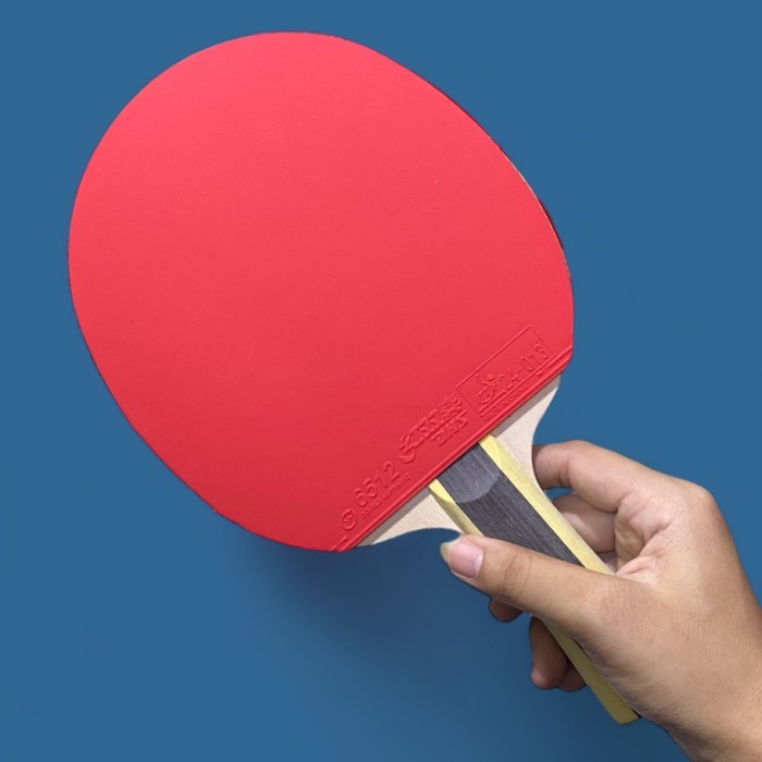 Bet Pingpong Tenis Meja Dhs 1002 Original