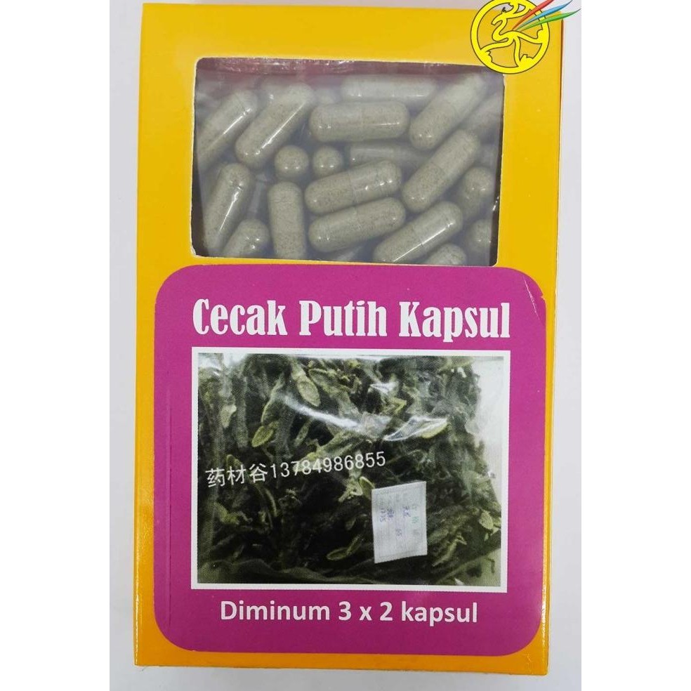 langsung order saja] Obat Herbal Cecak Putih Kapsul - Cicak Cecek Cicek Capsule Tumor