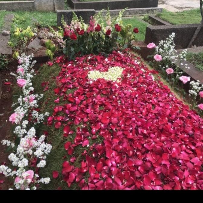 Terlaris Bunga Tabur Kelopak Mawar Asli Fresh