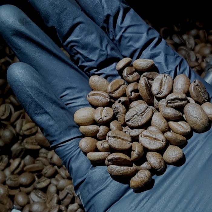 

Espresso Blend Blue Escape #2 (Blend 100% Arabica) Promo