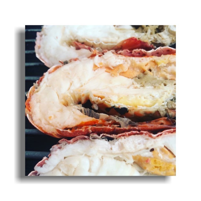 

Lobster Matang Ilovbster 1/2 Kg Promo