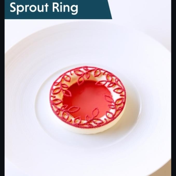 Best Sales Tuile Silicone Mold Sprout Ring Cocok Untuk Coklat Terbaik