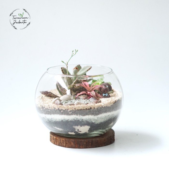 

Medium Lake Terrarium Type 5 Kado unik Gift Unik Premium Gift