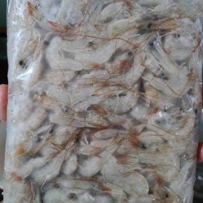 

Udang Api Fresh (Frozen)