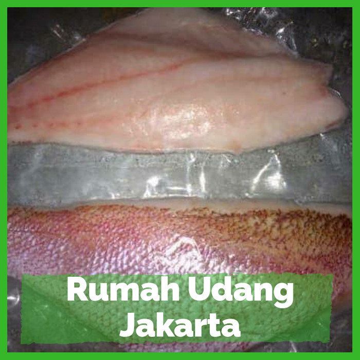 

Fillet Kakap Merah Segar 1Kg/Kakap Merah Fillet Murah