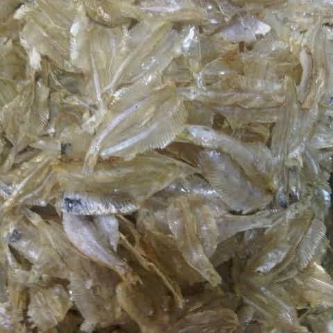 

Ikan Asin Tembang Putih