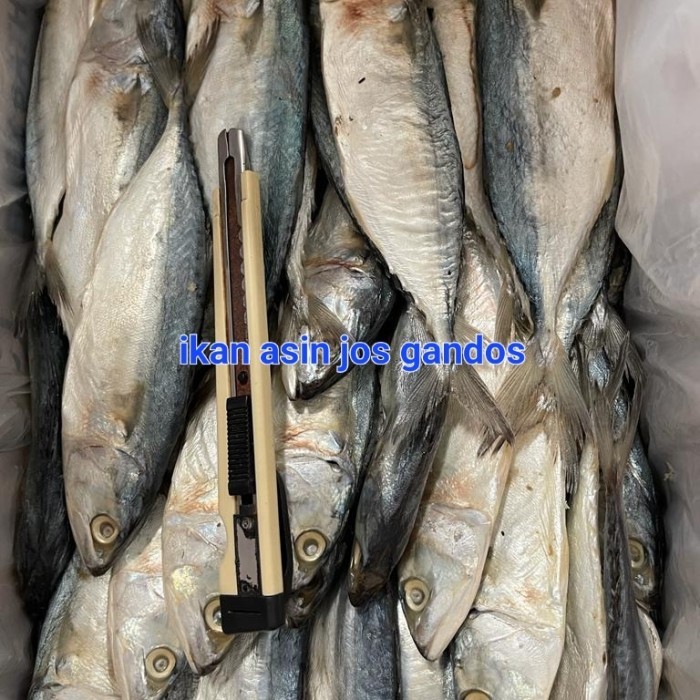 

Ikan Asin Peda Putih Banjar Kembung Putih 1 Kg Isi 17-18Ekor