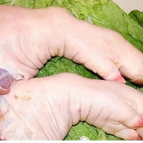 

Kaki Babi/Cukiok