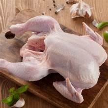 

Ayam karkas beku 1 ekor segar ukuran 700 gram