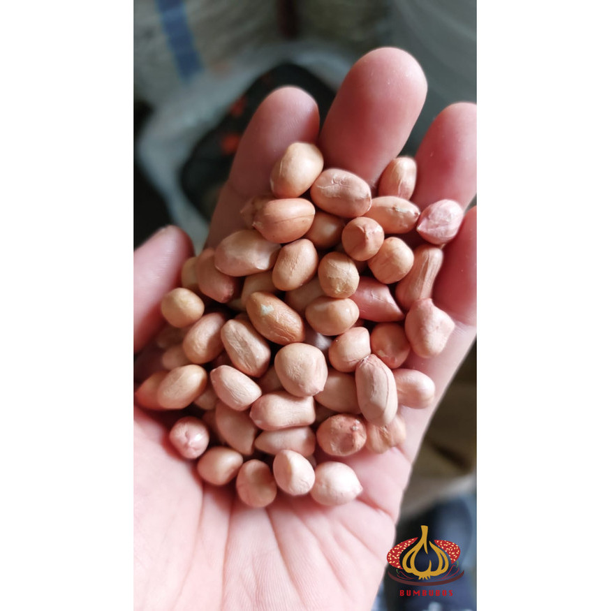 

Kacang Tanah India 1 Sak Karung Ball 25 Kg New