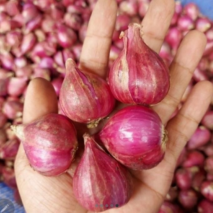 

Bawang merah brebes super 1kg.