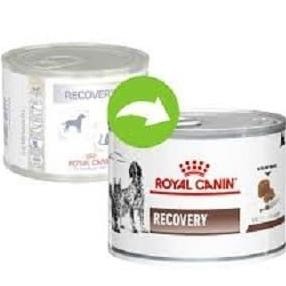 Royal Canin Recovery