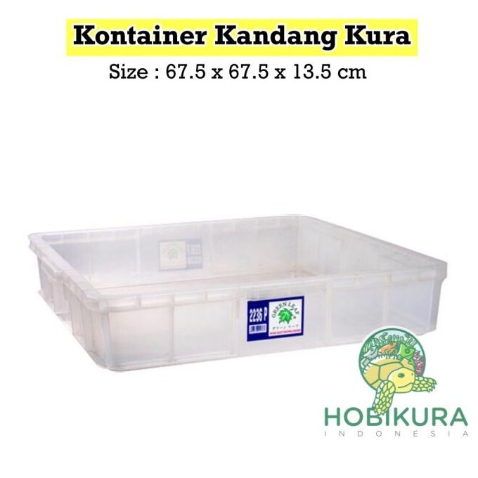 Kontainer Kandang Kura - Kura Darat Sulcata Pardalis Aldabra Tortoise