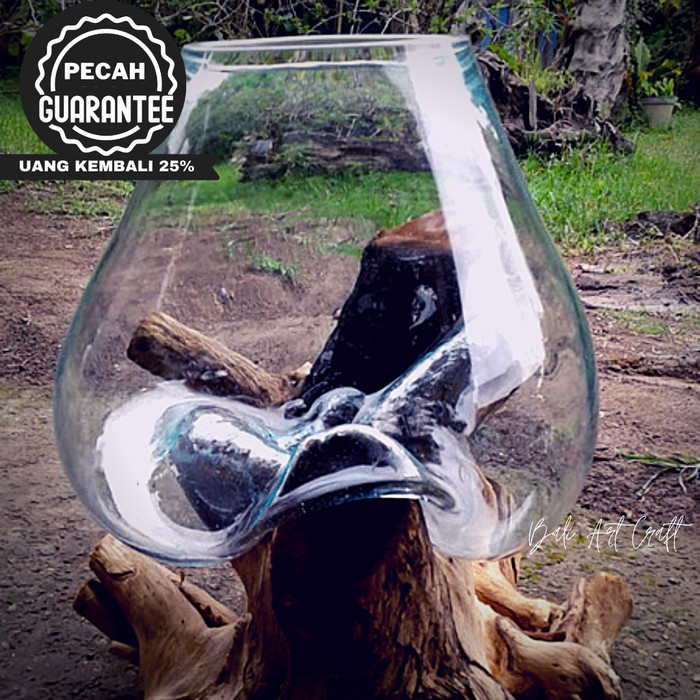 KK Koleksiii AKUARIUM HIAS IKAN CUPANG 30 CM / KACA KAYU AKAR / POT TANAMAN BONSAI