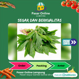 

Daun Singkong Segar - PSC. Lampung