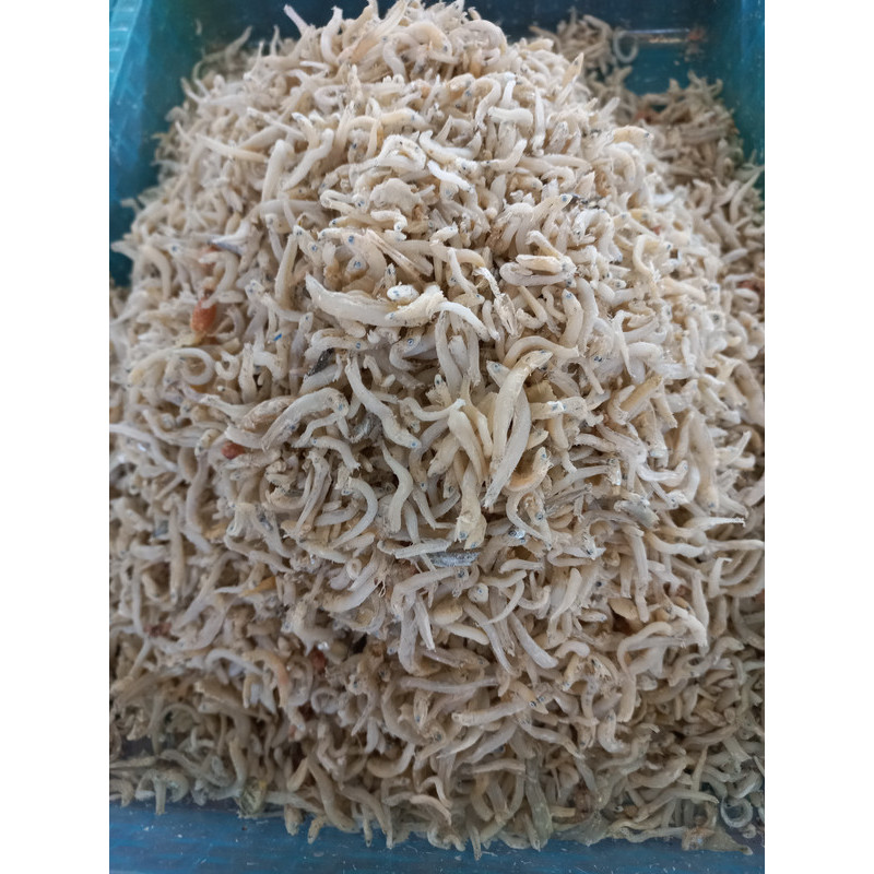

Ikan teri medan tatip 100 gr