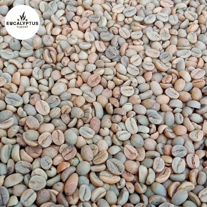 

10 Kg Arabika Gunung Tilu Anaerob -Natural- Green Bean/Biji Kopi