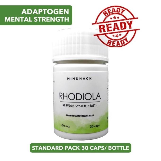 Rhodiola Rosea Salidroside Suplemen Nootropics Mood Energi