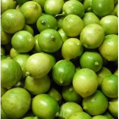 

Pearl xianglie 500 gr