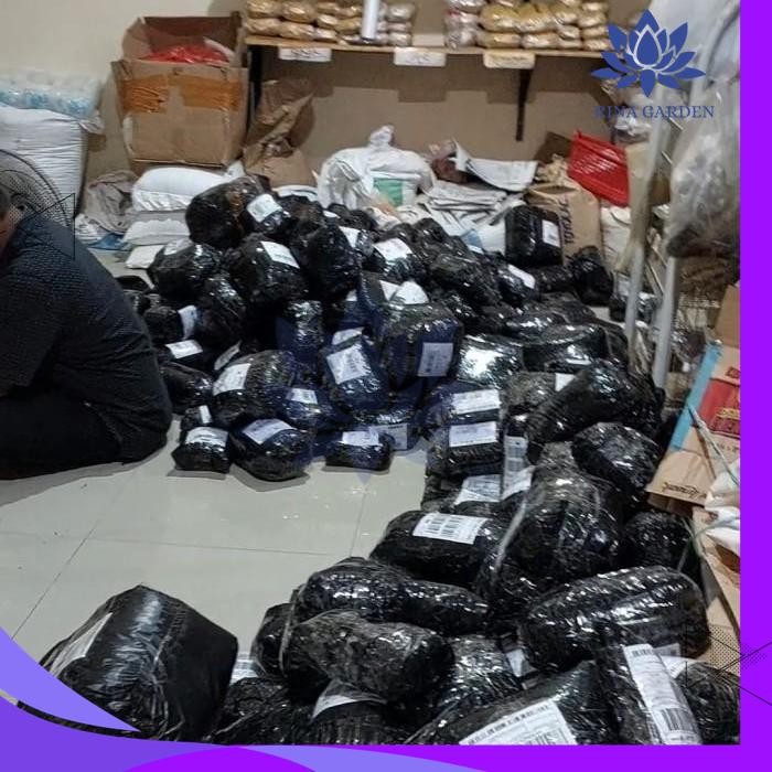

BUBUK BROTOWALI 100GR- BUBUK BUTROWALI ASLI TANPA CAMPURAN BEST PRODUK