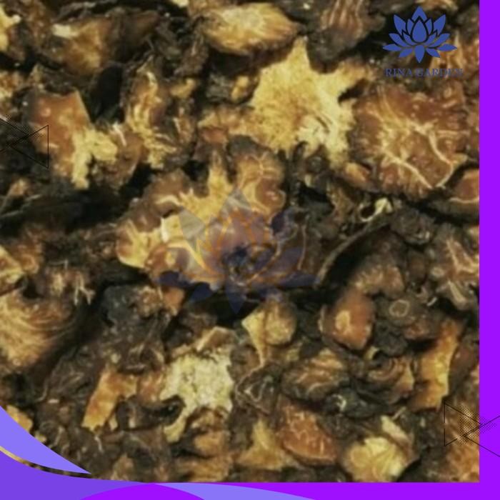

REMPAH GEGANTI / GANTI 100GR BEST PRODUK