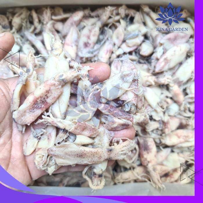 

CUMI ASIN KEMASAN 500GR / CUMI CUMI ASIN KERING KUALITAS BAGUS TERJAMIN BEST