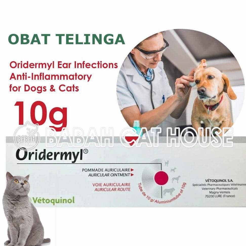 ORIDERMYL Obat Anti Kutu Bakteri Jamur Telinga Anjing Kucing Earmites Vet Vetoquinol Untuk Kitten Pu