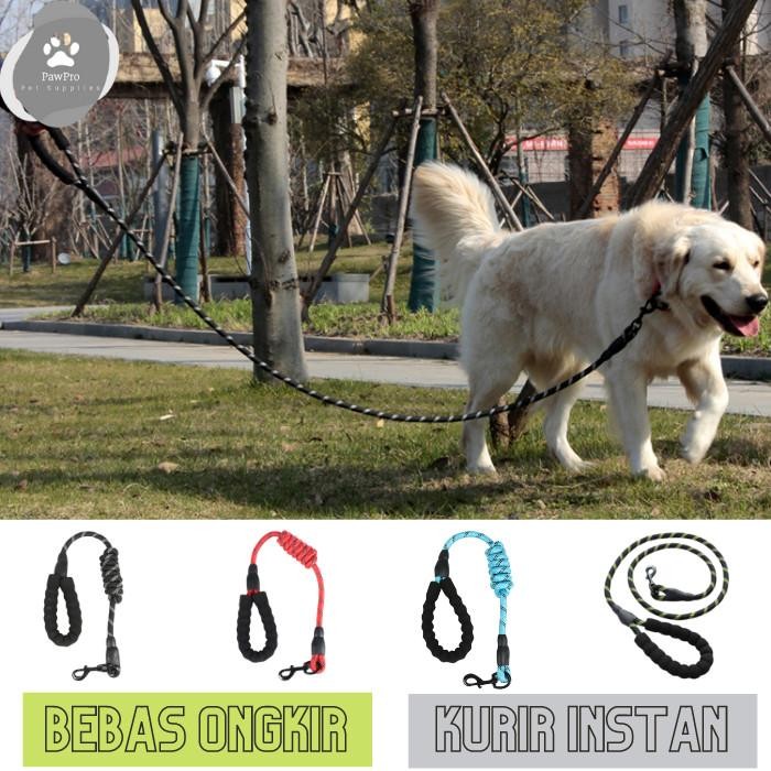 Tali Anjing Medium - Besar| Tali Tuntun Anjing | Tali Tuntun Nylon