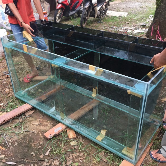 wanyar TOP FILTER TALANG KACA