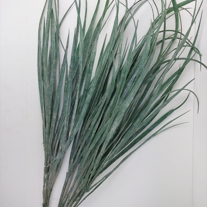 Julie - Rumput Ilalang Plastik Palsu Hias Dekorasi