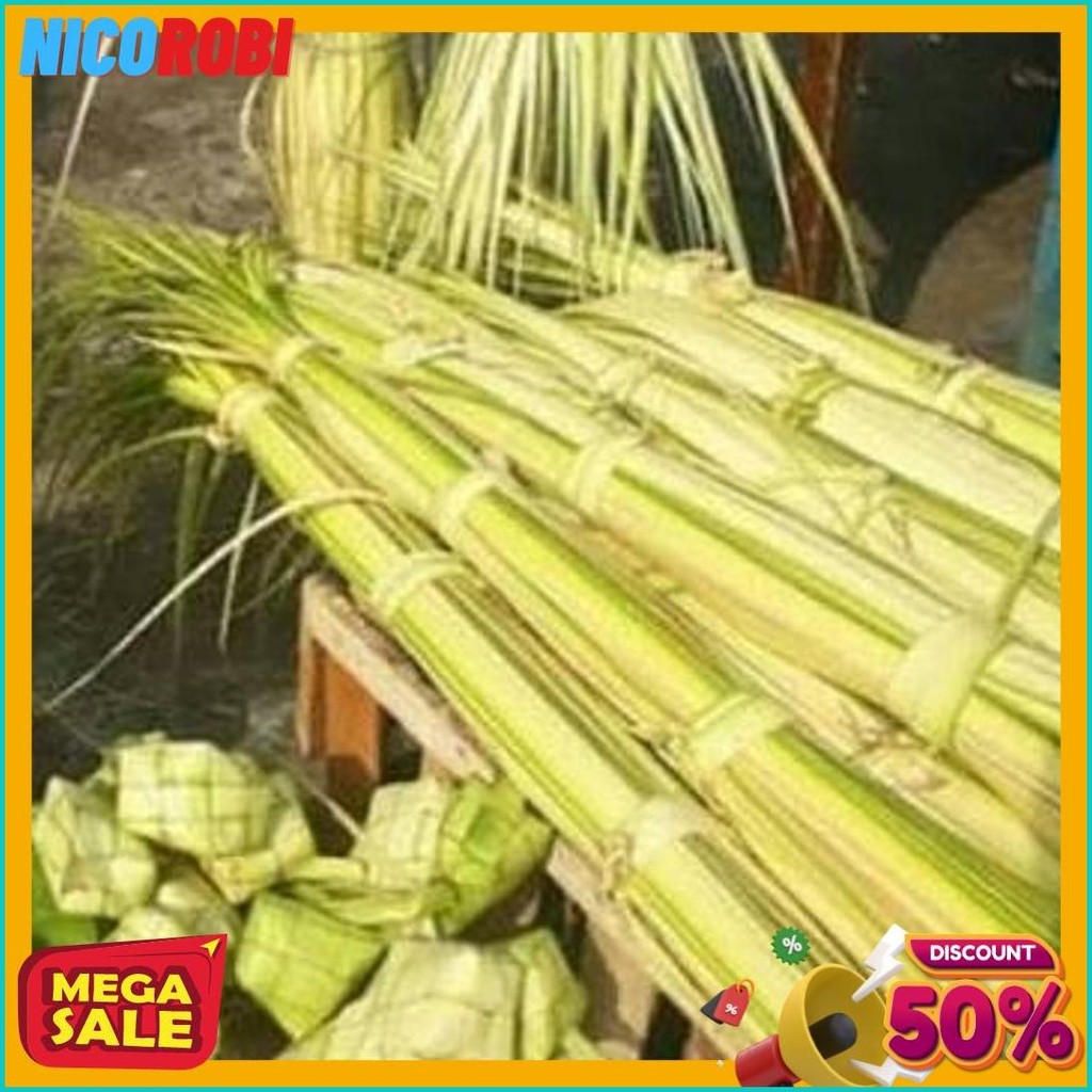 

New Cod Janur Kelapa Atau Daun Kelapa Muda (Murmer)