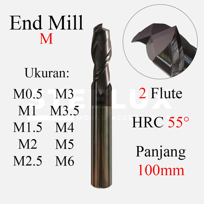 End Mill Carbide Leo Flat M0.5 M0.7 M1 M1.5 M2 M2.5 M3 M3.5 M4 M5 M6 x L100mm HRC55 2F Flute 2T Endm