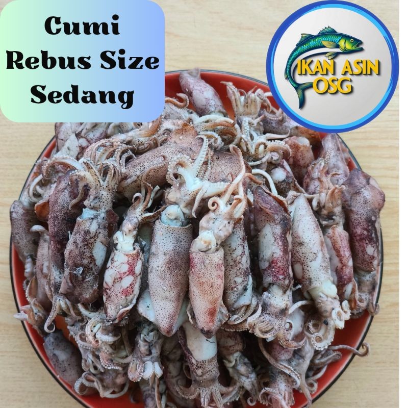 

Ikan Asin Cumi Rebus/ Sotong Rebus Size Sedang 500gr