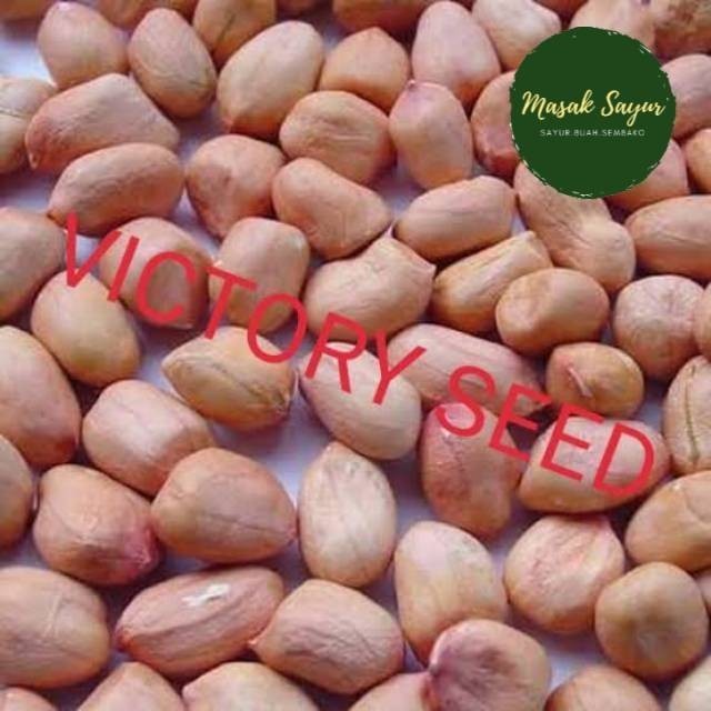 

BERMUTU Kacang tanah bandung 250 gram