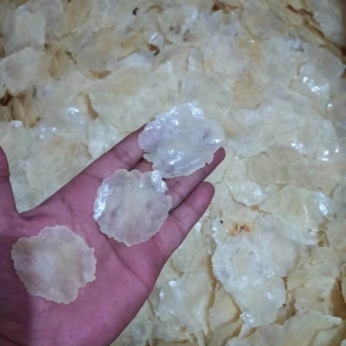 

Ready Gas!!! Emping Melinjo Mancak 1Kg Ukuran 1 Kecil Tipis