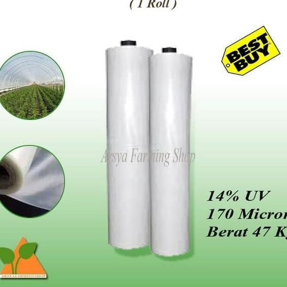 PLASTIK UV UNTUK ATAP GREEN HOUSE P X L = 125 X 3 METER ( 1 ROLL ) ORIGINAL DAN TERPERCAYA