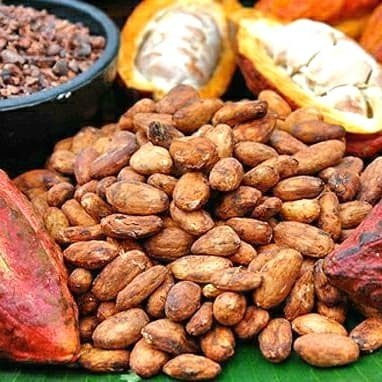 

Diskon Fermented Cocoa Bean 1 Kg