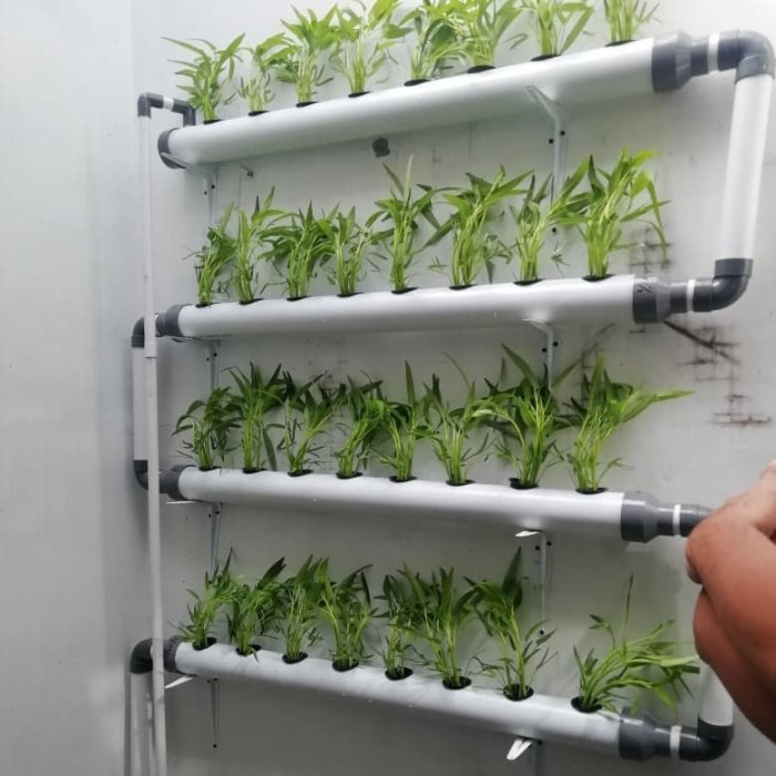 Hidroponik 32 Lubang Dinding Komplit + Pompa Air