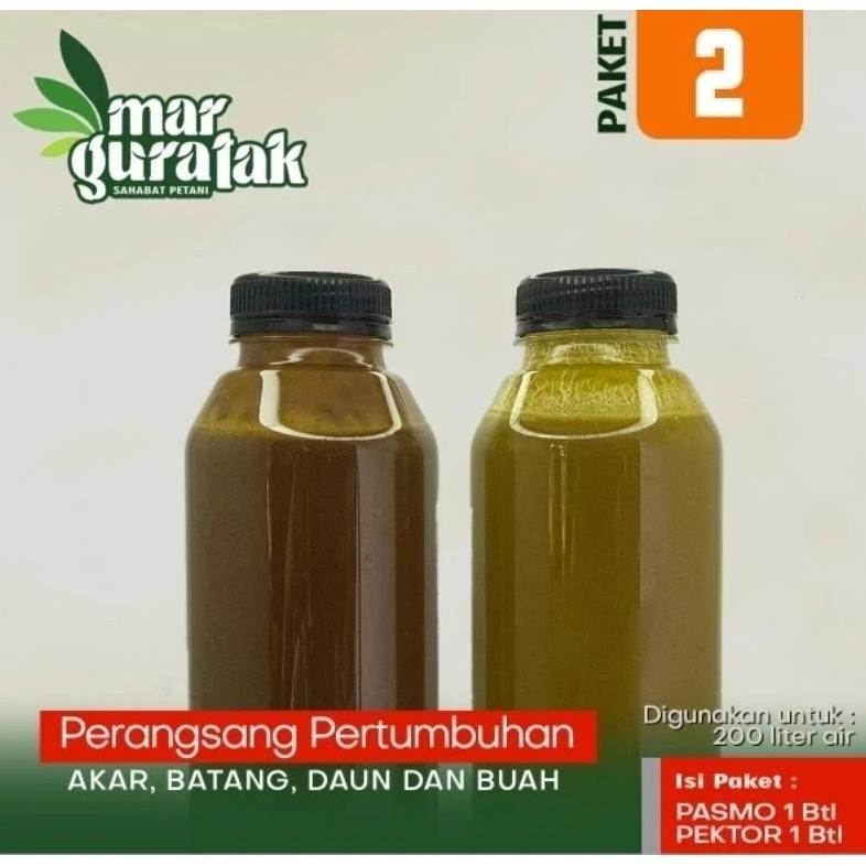 PAKET PASMO & PEKTOR