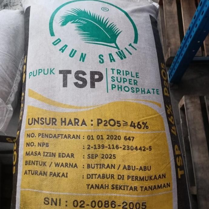 PUPUK TSP DAUN SAWIT KEMASAN 50KG ORIGINAL PABRIK