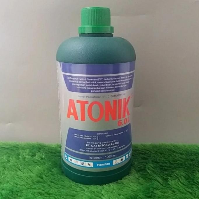 ZPT ATONIK 1000ML