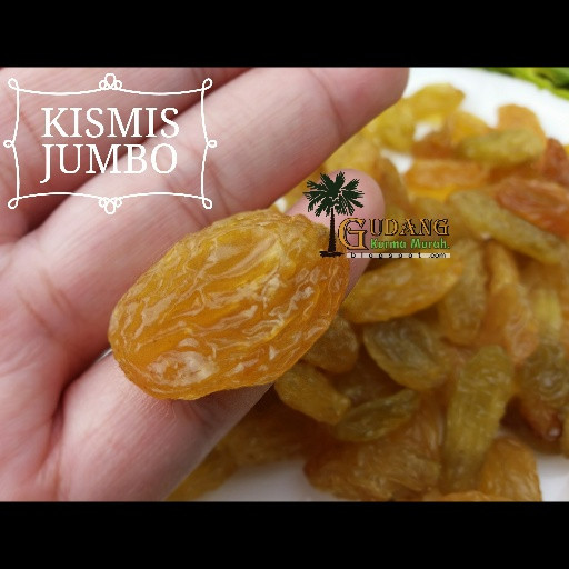 

Ready - Kismis Jumbo Golden Raisin Jumbo Oleh-Oleh Haji Dan Umrah