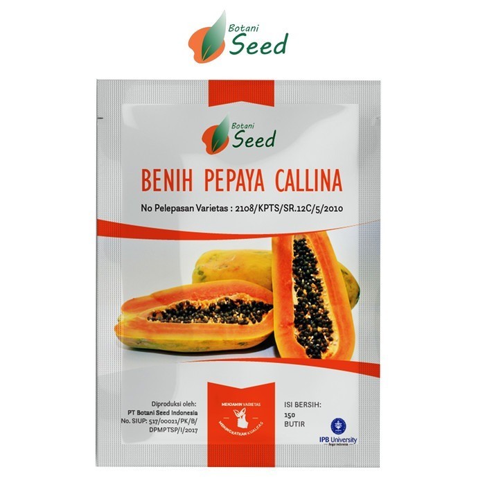 TERBARU BENIH PEPAYA CALINA CALIFORNIA IPB ISI 250 butir PKHT IPB