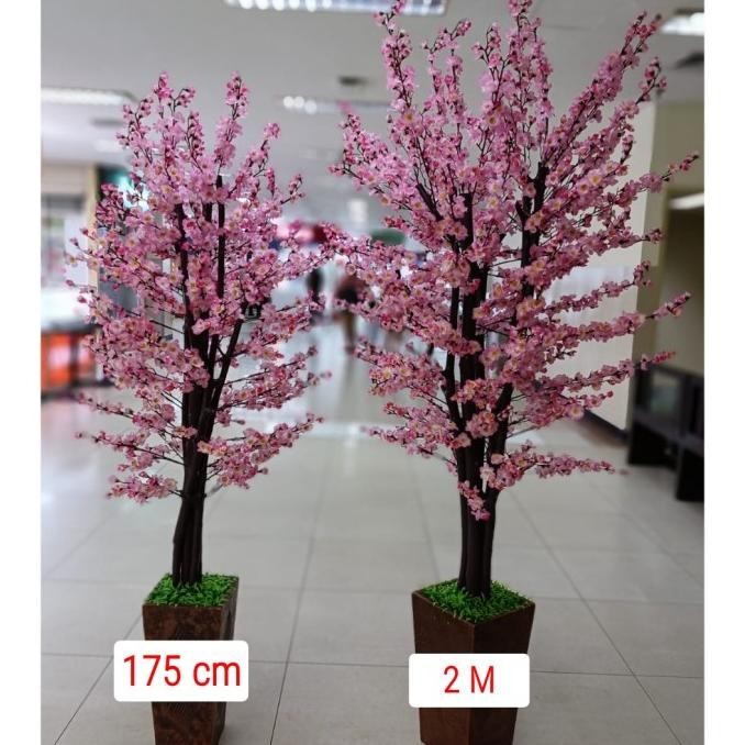Pohon Bunga Meihua Sakura Imlek Angpao Besar Tinggi 175 Cm 2 M Imlek Premium