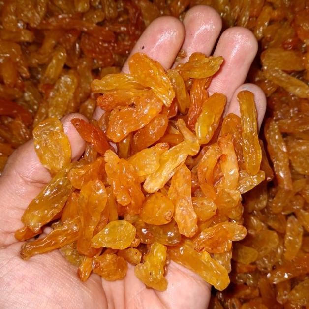 

Kiss Arab Manis 1 Kg Golden Raisin Long/Kiss Arab/Kiss
