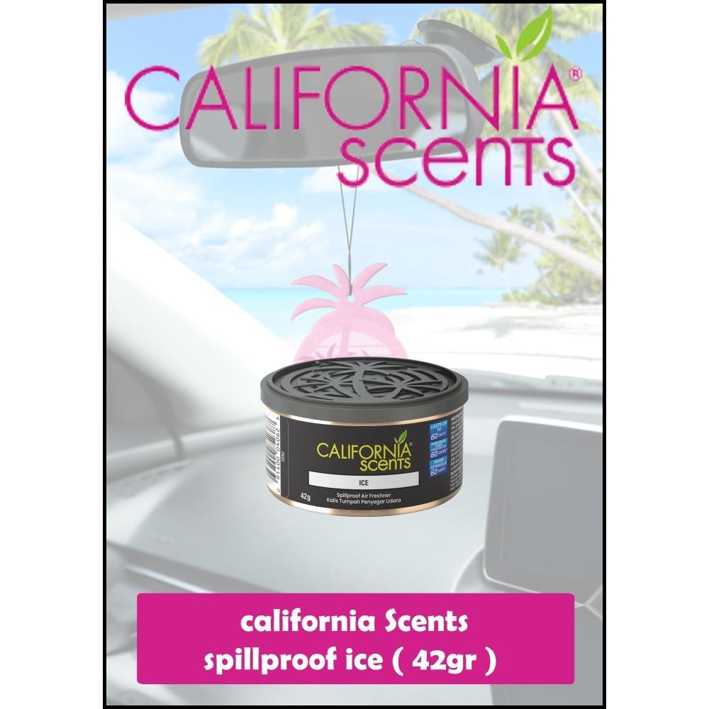 

DISKON CALIFORNIA SPILLPROOF ICE 42GR - 67794 - !!!!!!