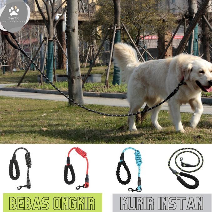 tali - tali anjing medium - besar| tali tuntun anjing | tali tuntun nylon