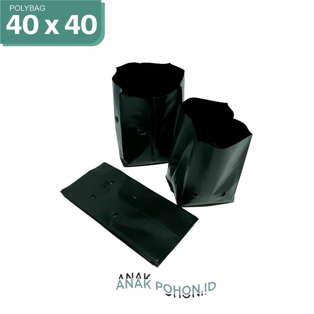 Polybag Polibag Plastik Ukuran 40 x 40 cm - Kualitas Premium Tebal H8D9